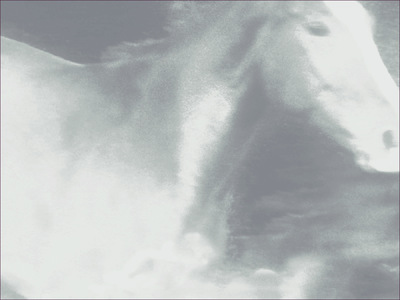 Museum Quality Photographic Art - Fortune 2012 56 x 42 inches (142.24 x 106.68 cm) Red is the gleaming steed who soars through clouds in silvery moonlight — taking you where you are meant to be.