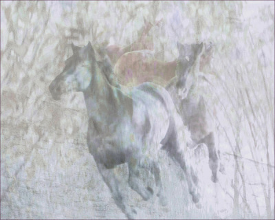 Museum Quality Photographic Art - Tapestry 2013 50 x 40 inches (127.00 x 101.60 cm) Asher, Zeus, Diesel, and Red.