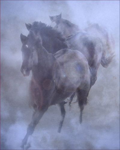Museum Quality Photographic Art - Breakthrough 2013 40 x 50 inches (101.60 x 127.00 cm) Zeus, Asher, and Red.