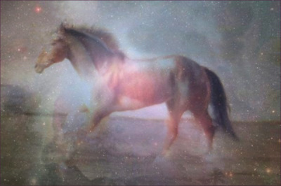 Museum Quality Photographic Art - Stardust 2013 24 x 16 inches (60.96 x 40.64 cm) Major traversing the galaxies.