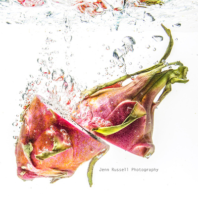 Jenn Russell Photography - 