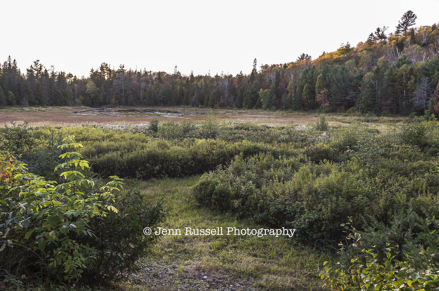 Jenn Russell Photography - 