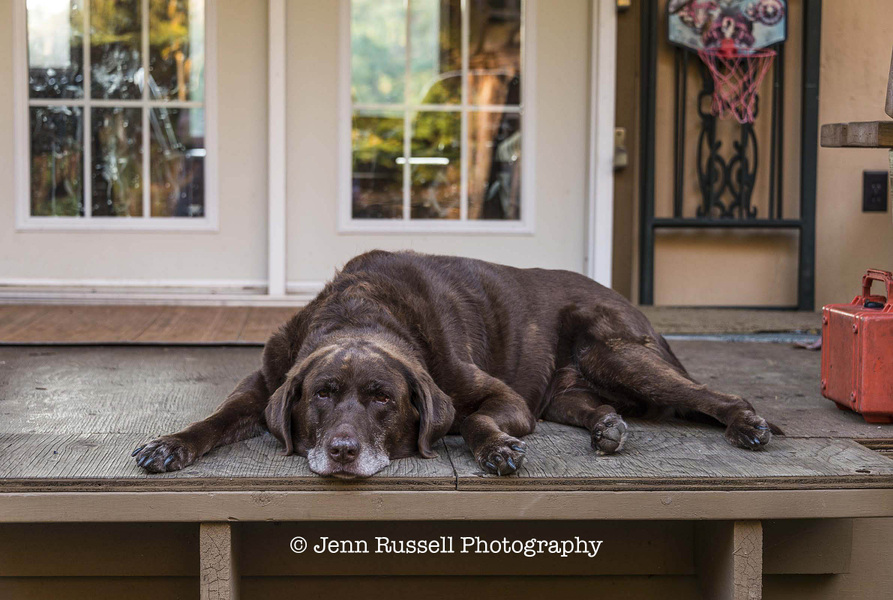 Jenn Russell Photography - 