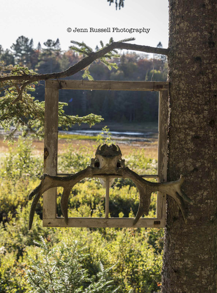 Jenn Russell Photography - 