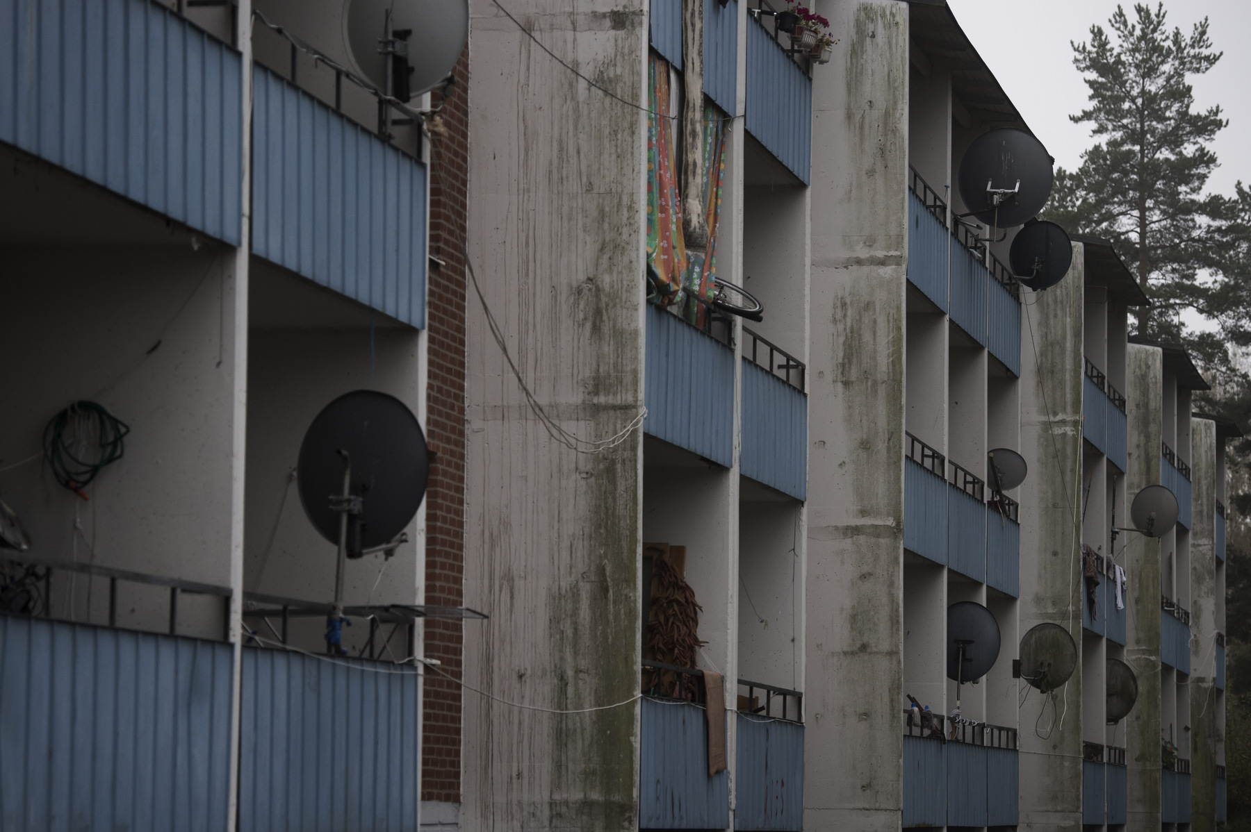 Photographer Anna Tärnhuvud - 