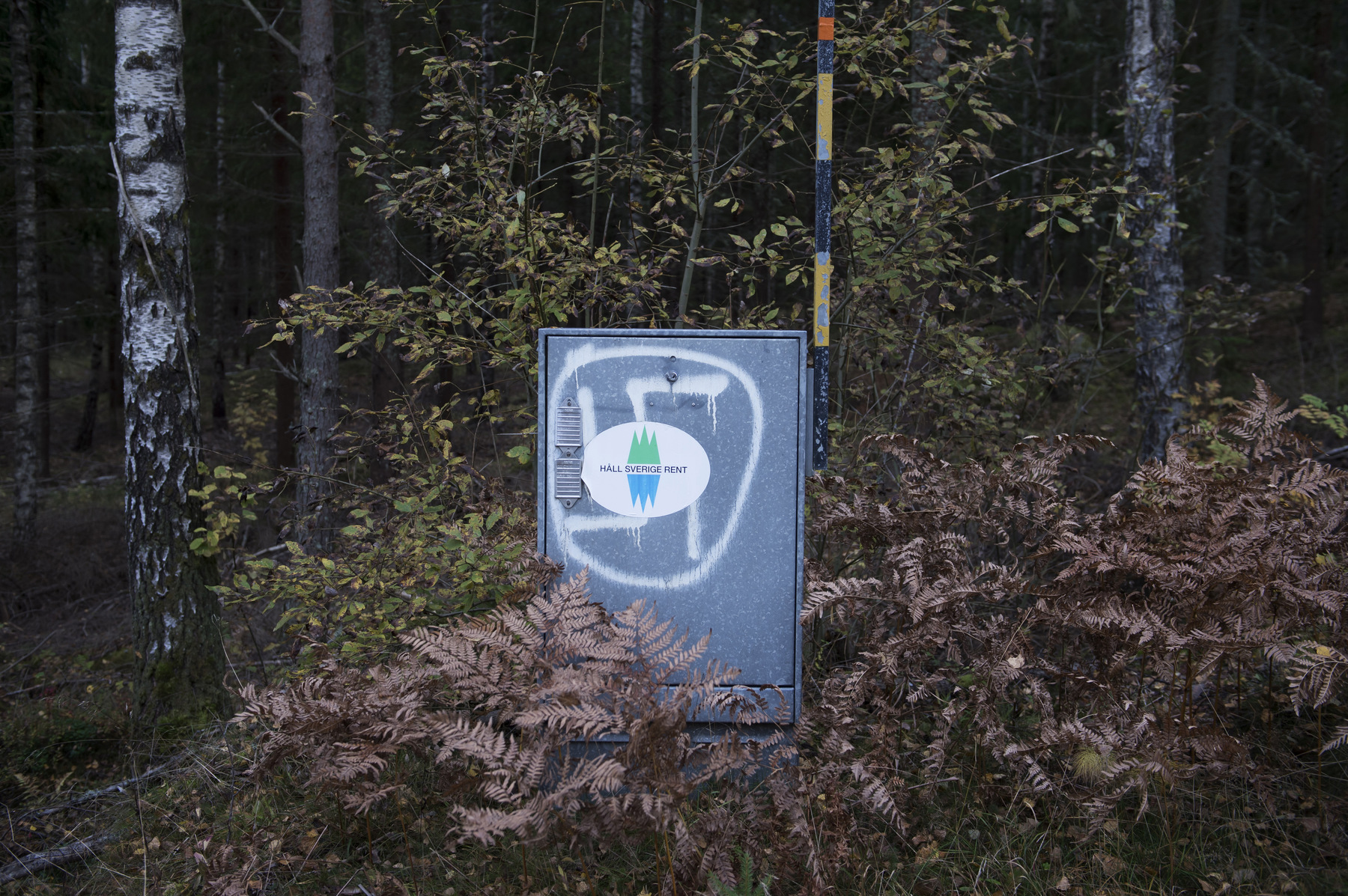 Photographer Anna Tärnhuvud - 