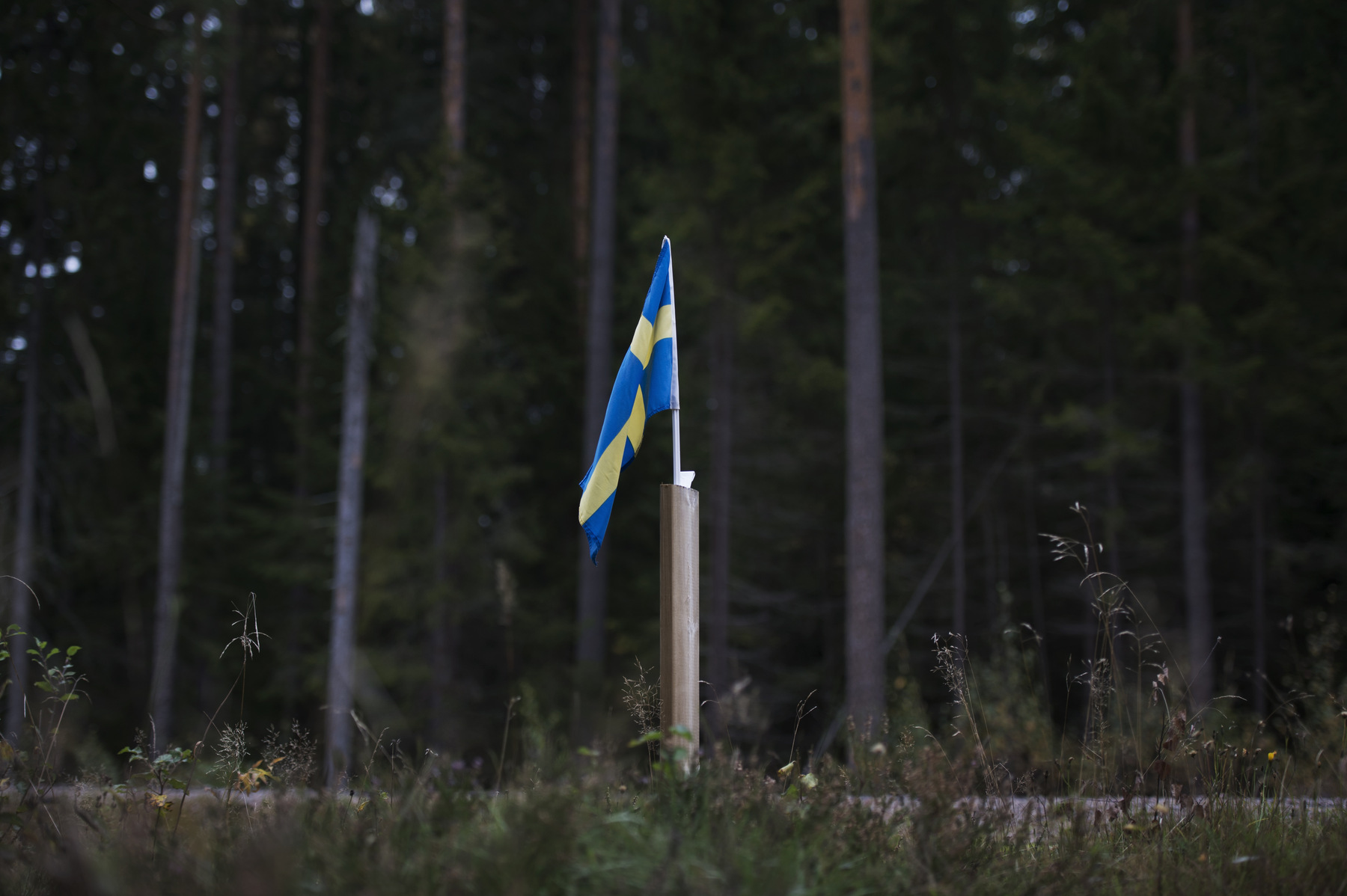 Photographer Anna Tärnhuvud - 