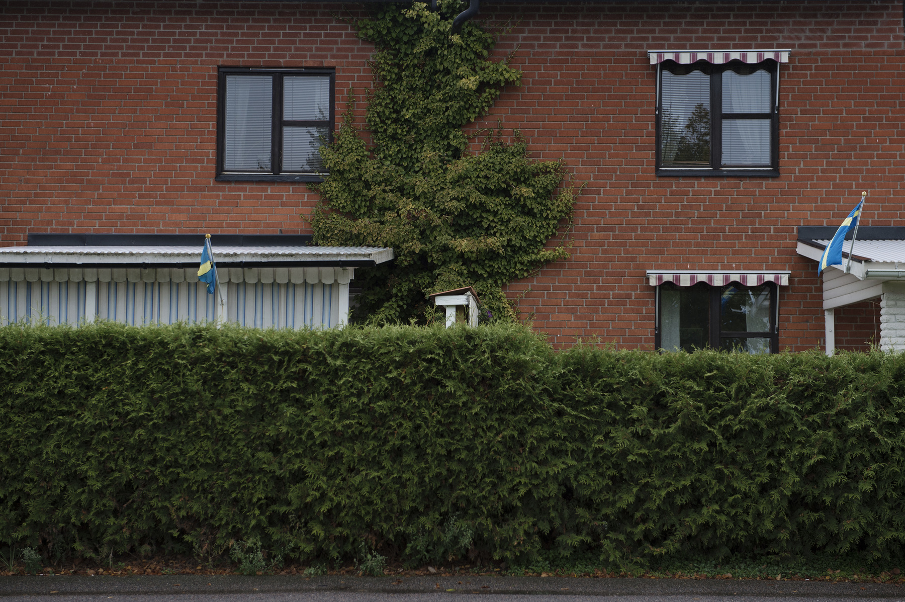 Photographer Anna Tärnhuvud - 