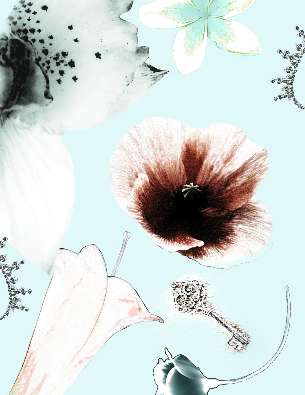 VELVET WING DESIGN - surface design - 