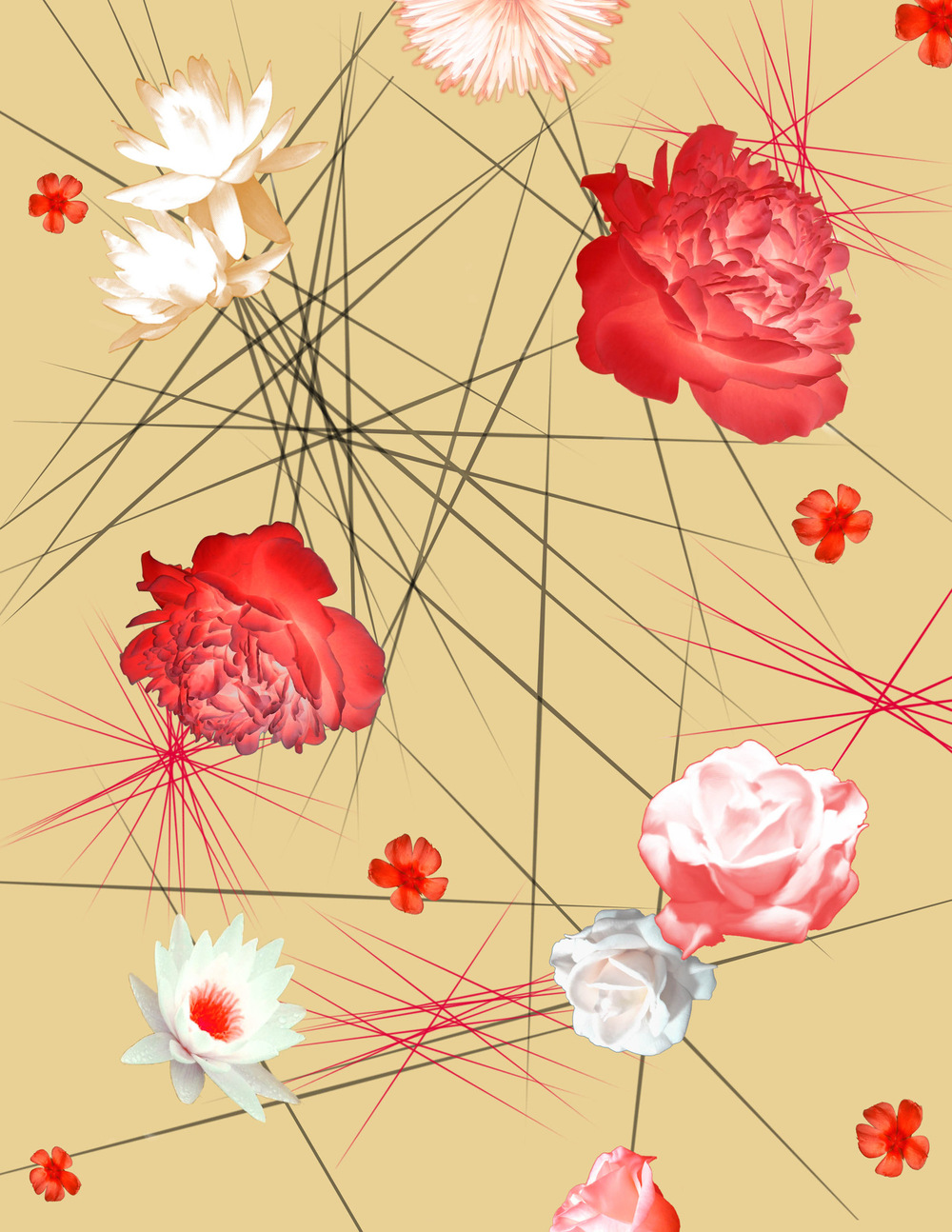 VELVET WING DESIGN - surface design - 