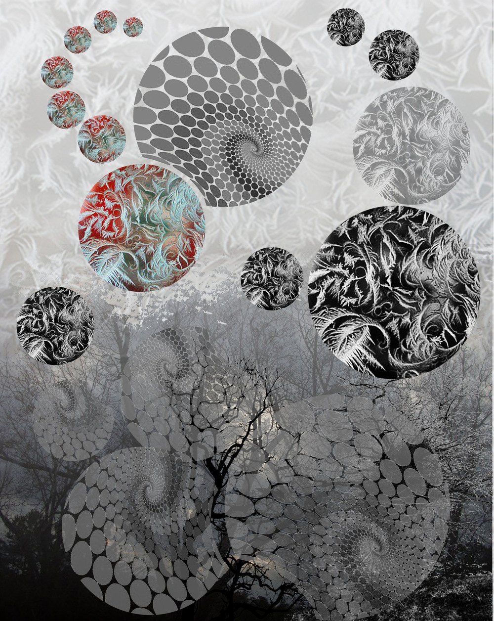 VELVET WING DESIGN - surface design - 