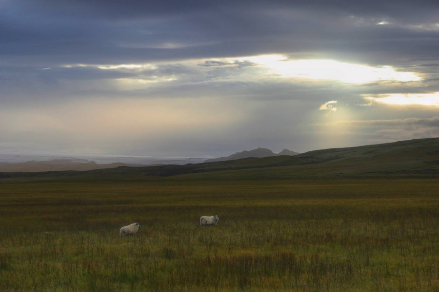 Andrew Marantas Portfolio - 