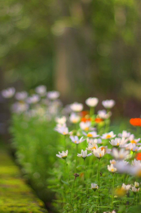 Andrew Marantas Portfolio - 