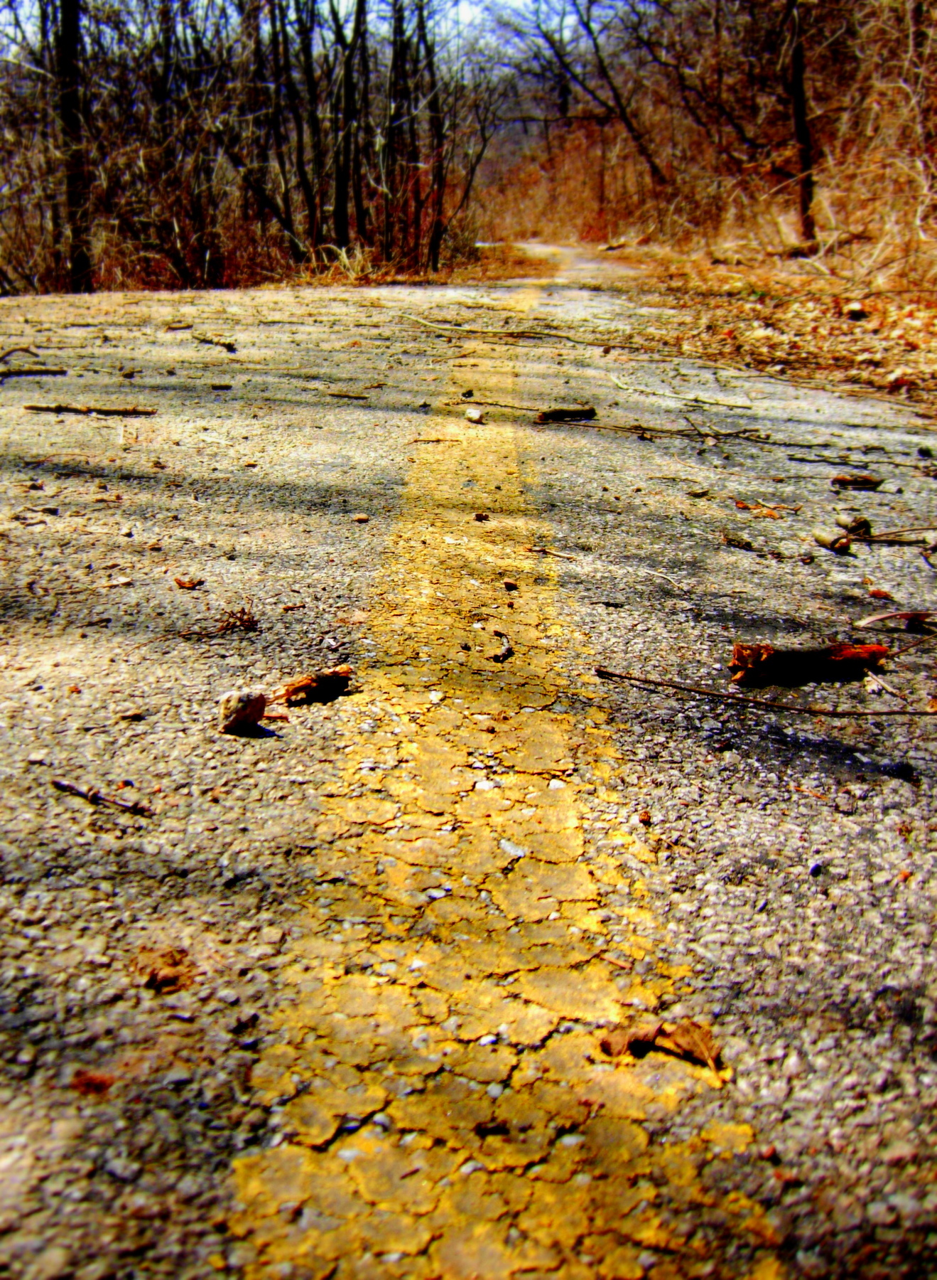 Andrew Marantas Portfolio - 