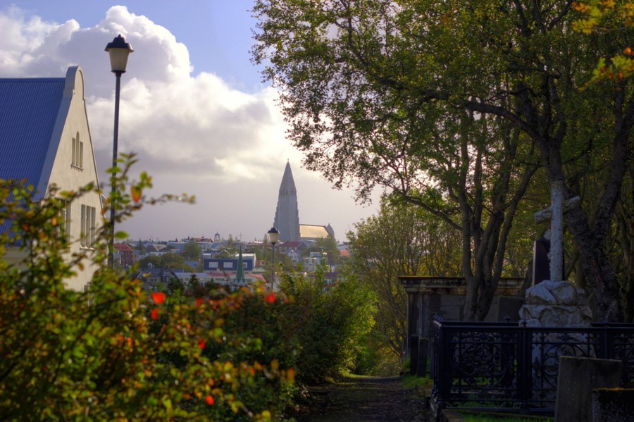 Andrew Marantas Portfolio - 