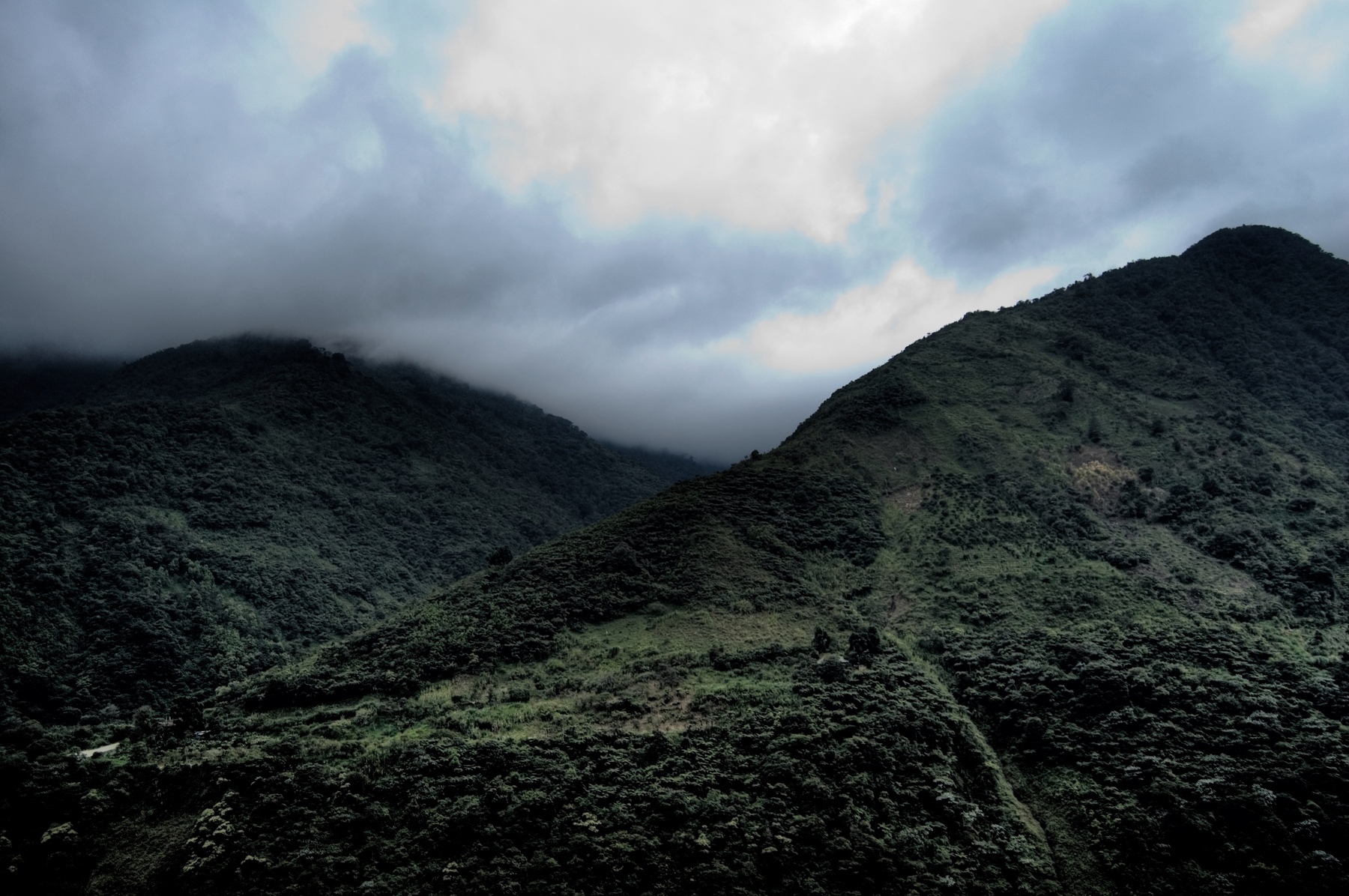 Andrew Marantas Portfolio - 