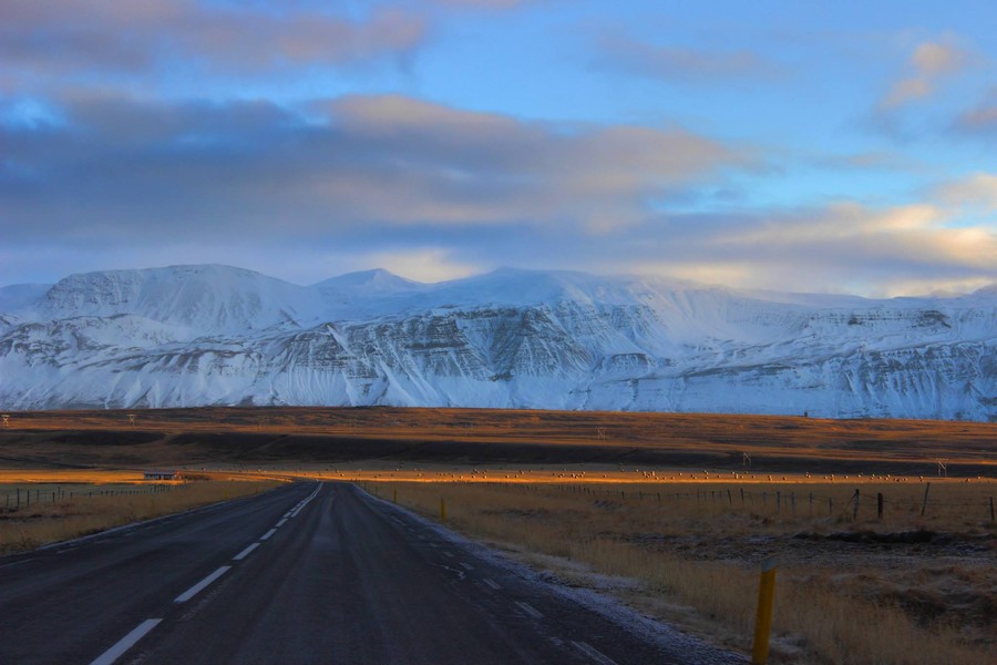 Andrew Marantas Portfolio - 