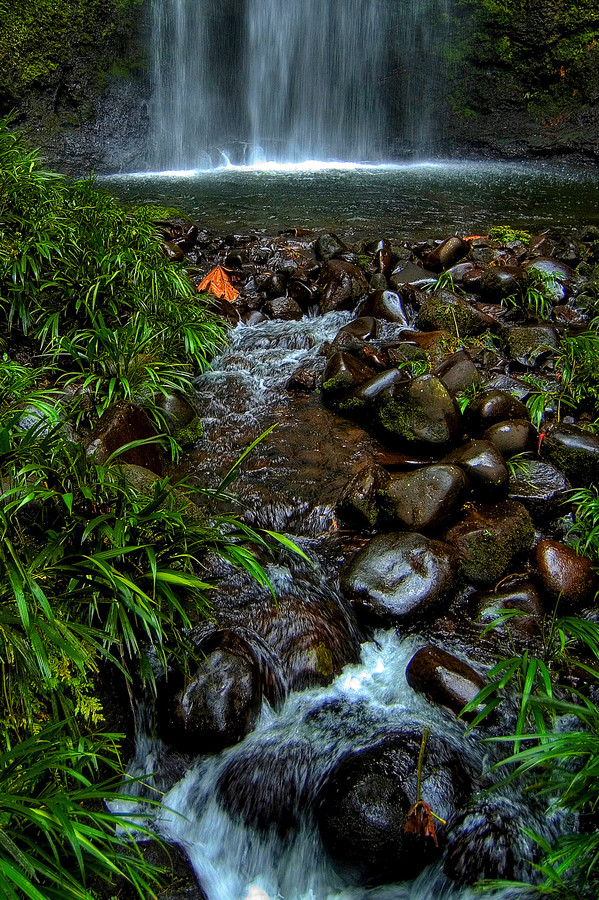 Andrew Marantas Portfolio - 