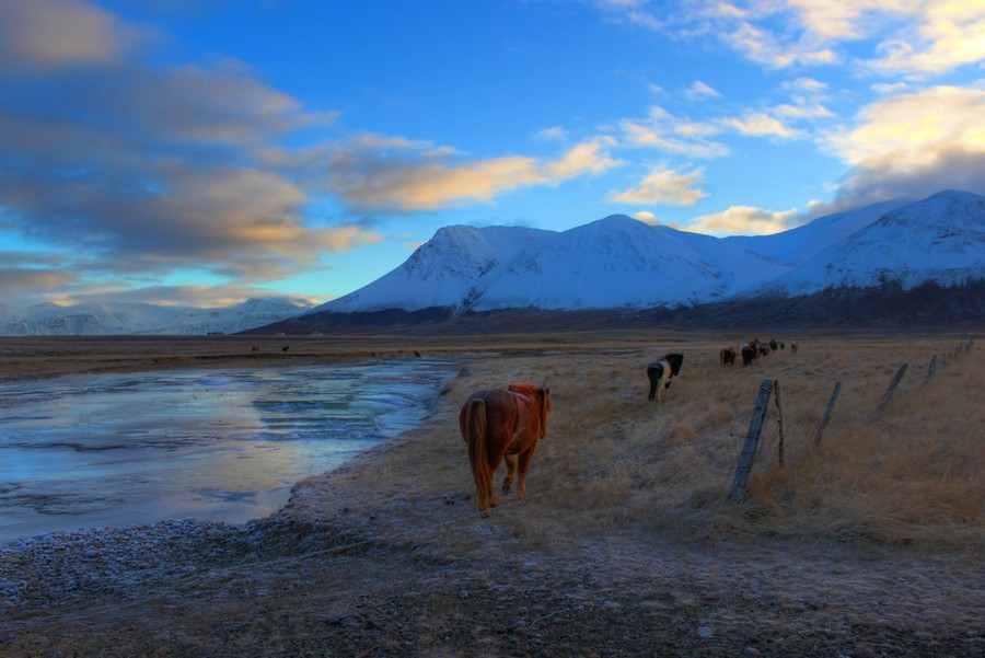 Andrew Marantas Portfolio - 