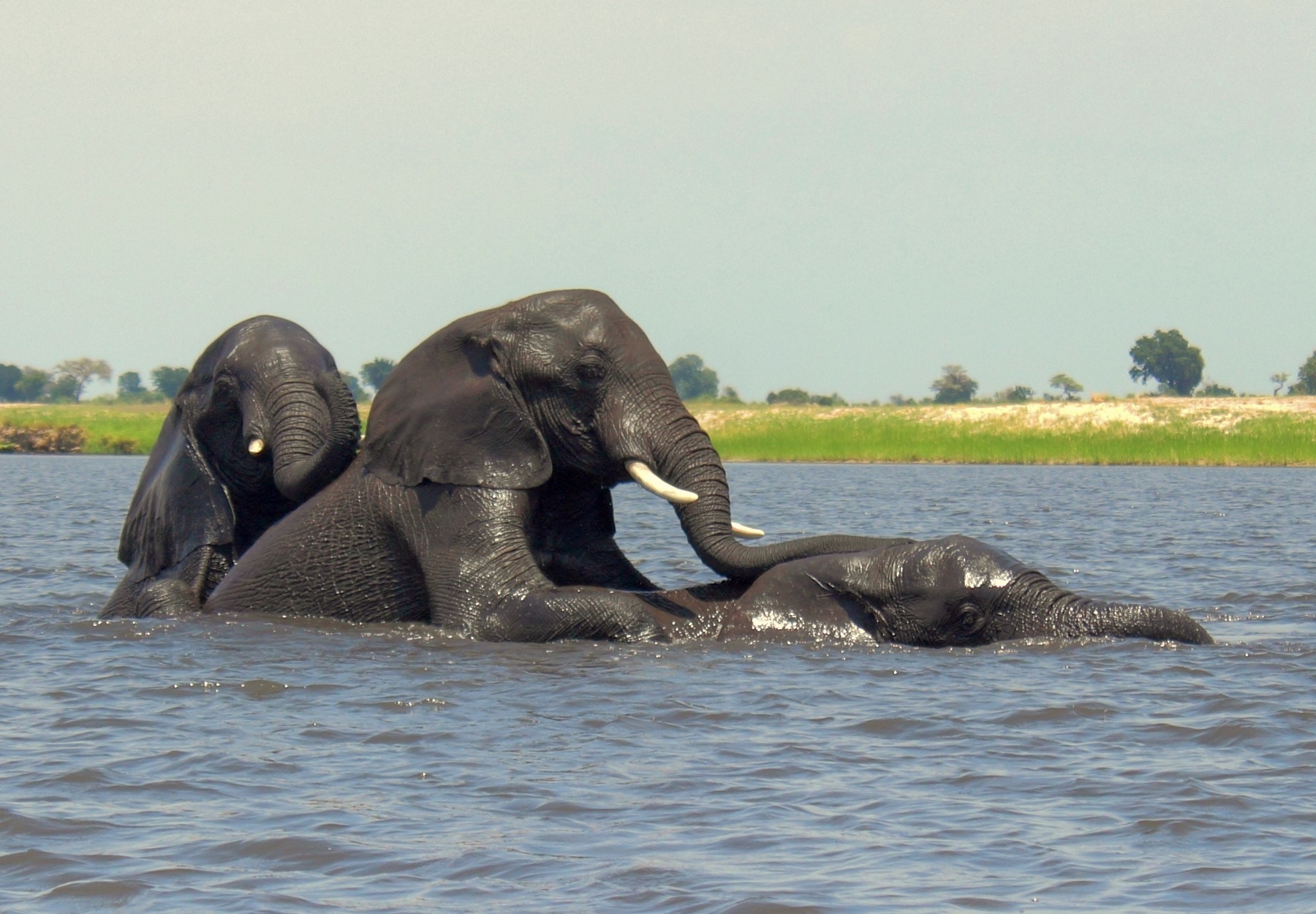 Andrew Marantas Portfolio - 