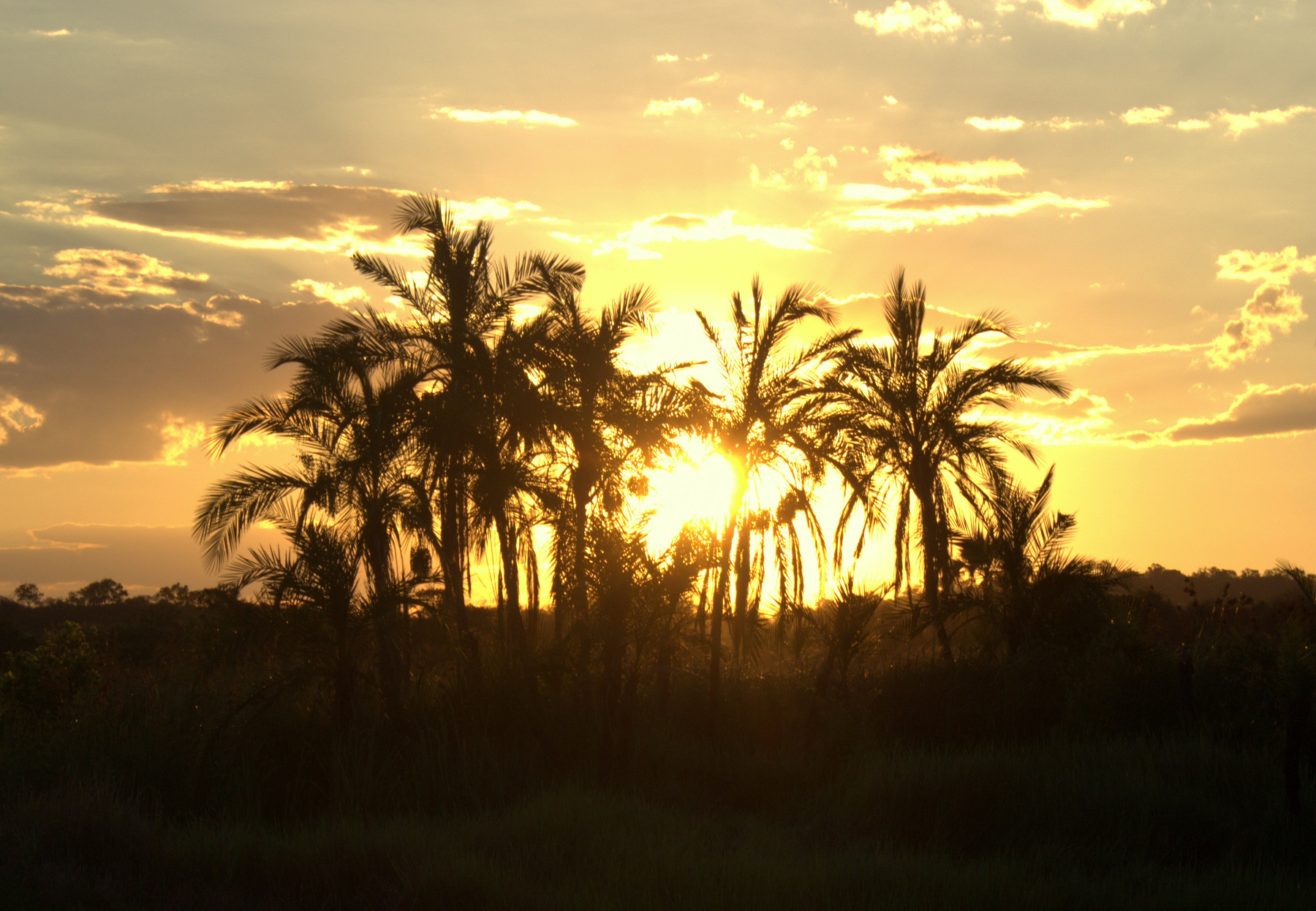 Andrew Marantas Portfolio - 