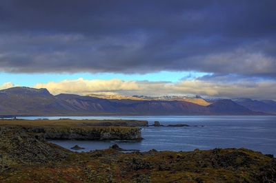 Andrew Marantas Portfolio - 