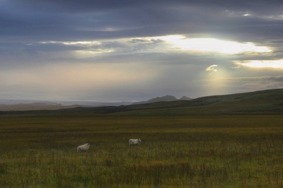 Andrew Marantas Portfolio - 