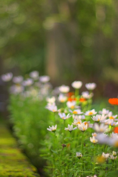 Andrew Marantas Portfolio - 