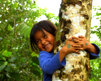 Andrew Marantas Portfolio - 