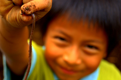 Andrew Marantas Portfolio - 