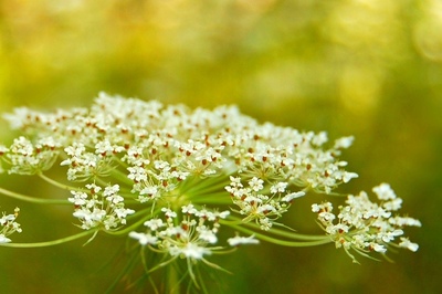 Andrew Marantas Portfolio - 