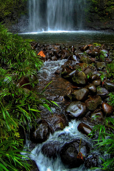 Andrew Marantas Portfolio - 