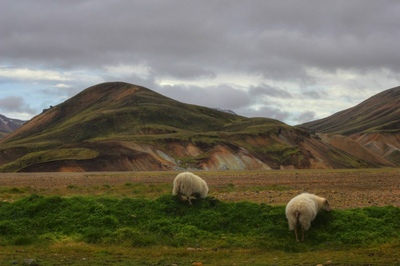 Andrew Marantas Portfolio - 