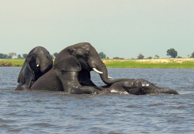 Andrew Marantas Portfolio - 