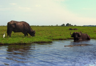 Andrew Marantas Portfolio - 