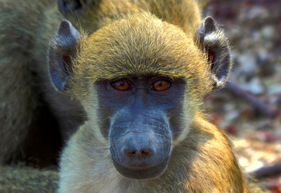 Andrew Marantas Portfolio - 