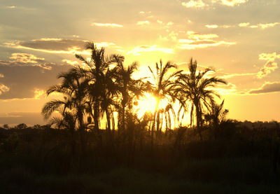 Andrew Marantas Portfolio - 