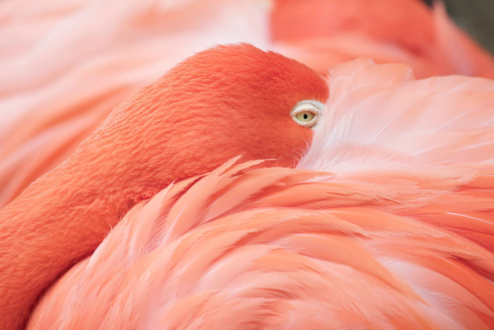 Matt Lindzon Photography -