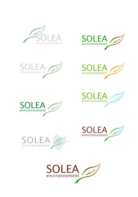Portfolio Aymeric Thach - Création dun logo pour Solea Environnement