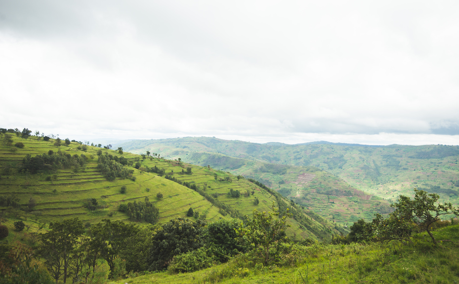 Julie Epp - Countryside in Rwanda