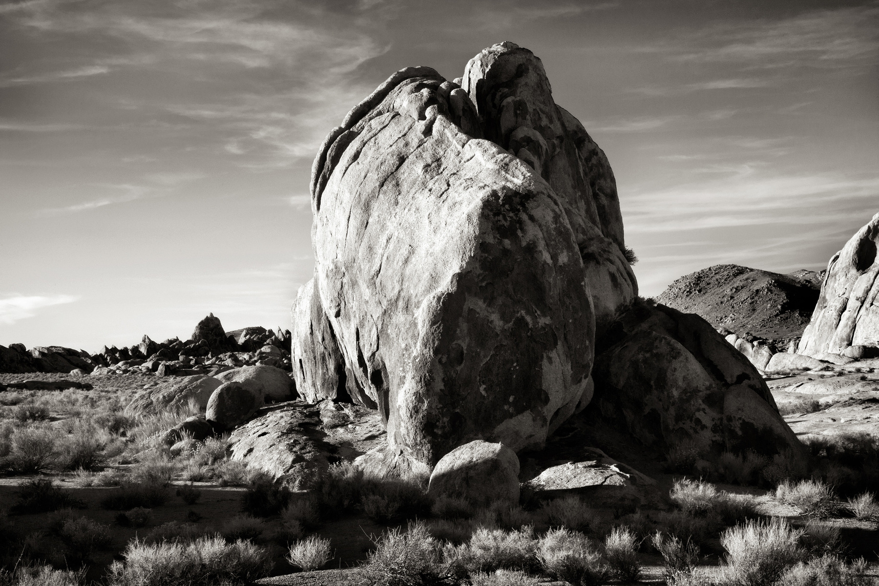 Nieslony Photography -