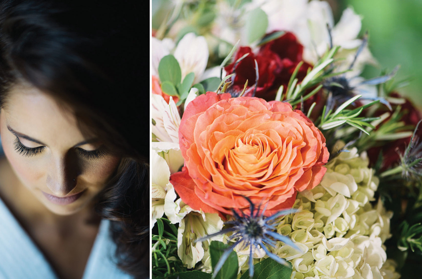 Lauren Mattes | Creative Professional -