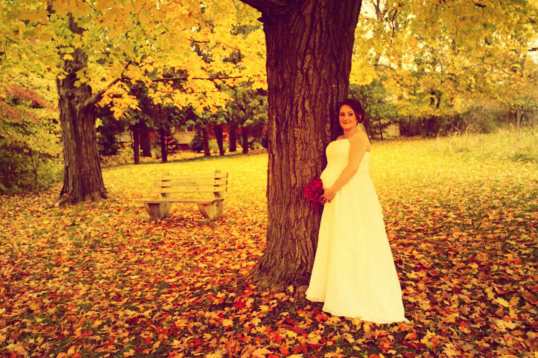 Afterglow Photography -