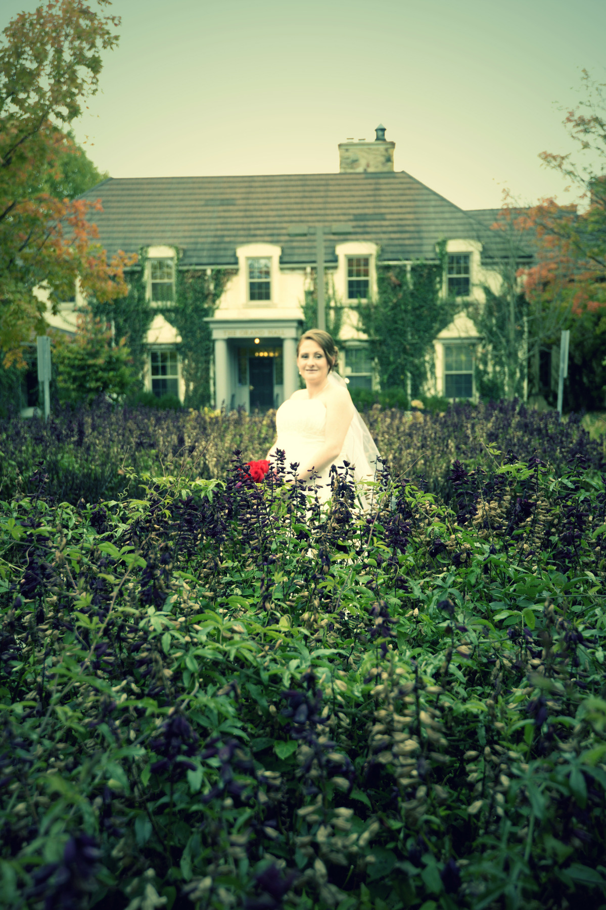 Afterglow Photography -