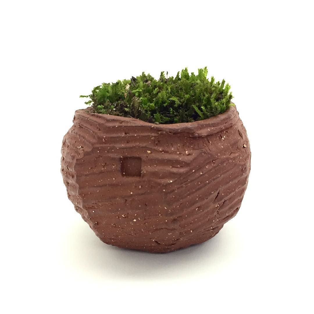 Art by Sean Evans - Terra Cotta Succulent Bowls