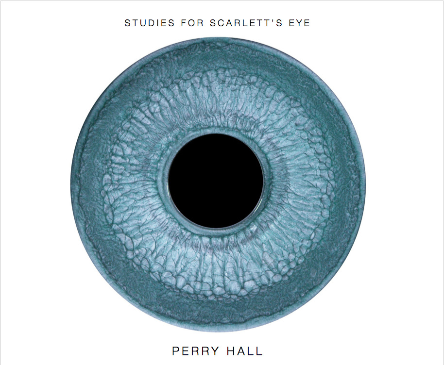 PERRY HALL STUDIO - STUDIES FOR SCARLETTS EYE Painting films created by artist Perry Hall for actress Scarlett Johanssons eyes in the motion picture Lucy, directed by Luc Besson. 2014. 54 pages, 43 images. Printed on ProPhoto Lustre-Finish White paper. 10 x 8 inches (Landscape). Softcover and high quality PDF download. To Purchase and book preview: http://www.blurb.com/b/7833679-studies-for-scarlett-s-eye