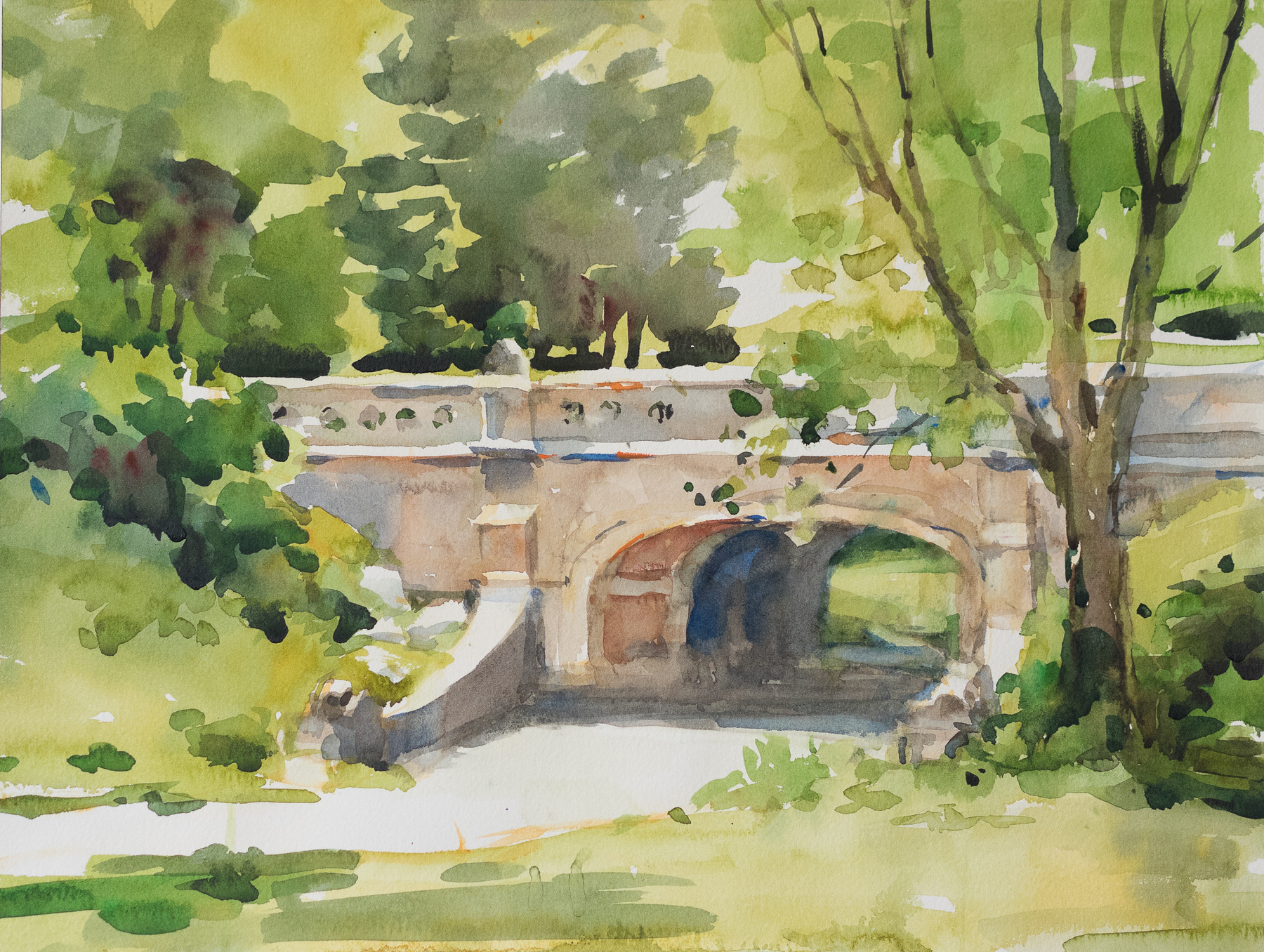 Susan Weintraub Watercolors -
