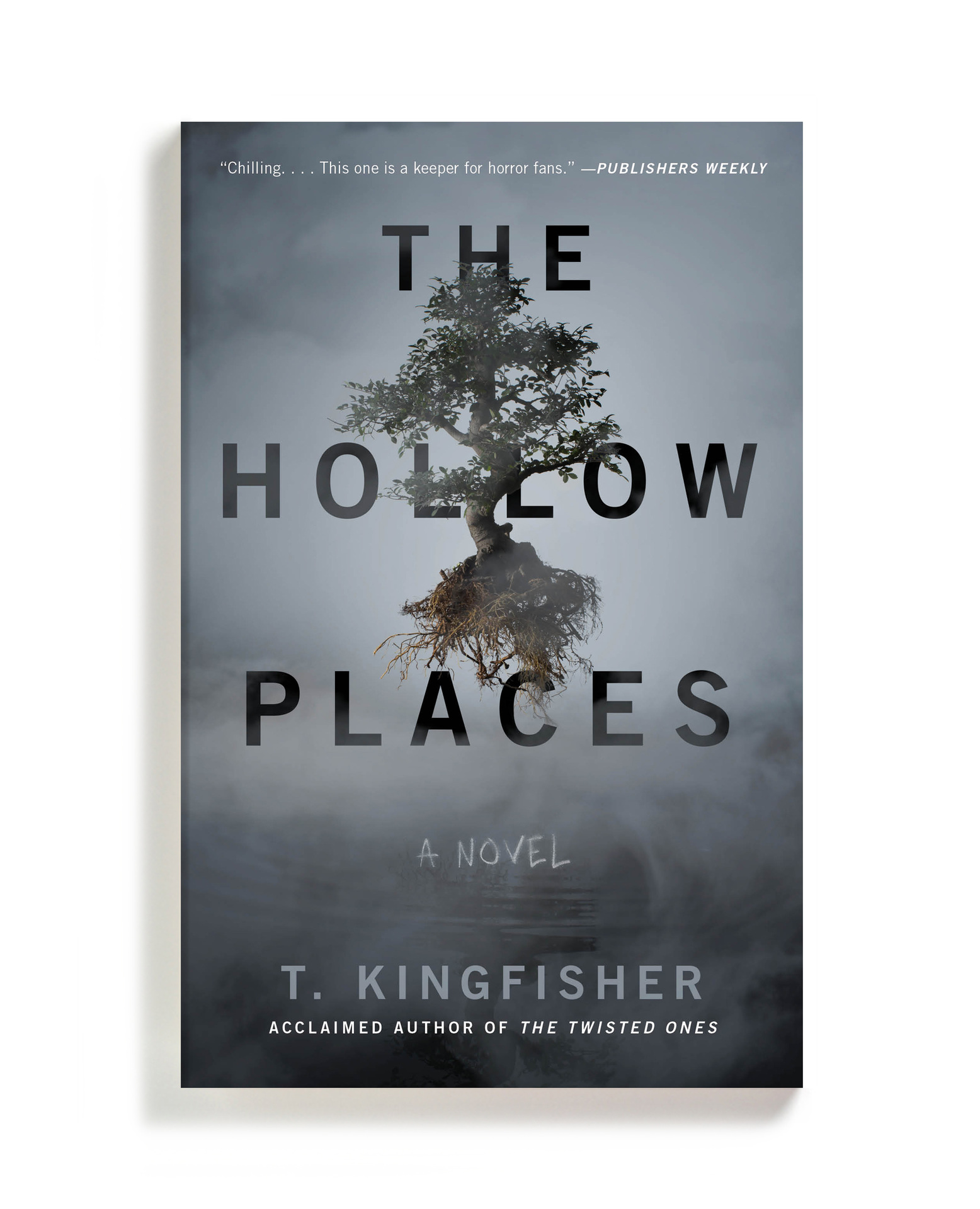Chelsea McGuckin Design - Gallery Books, October 2020