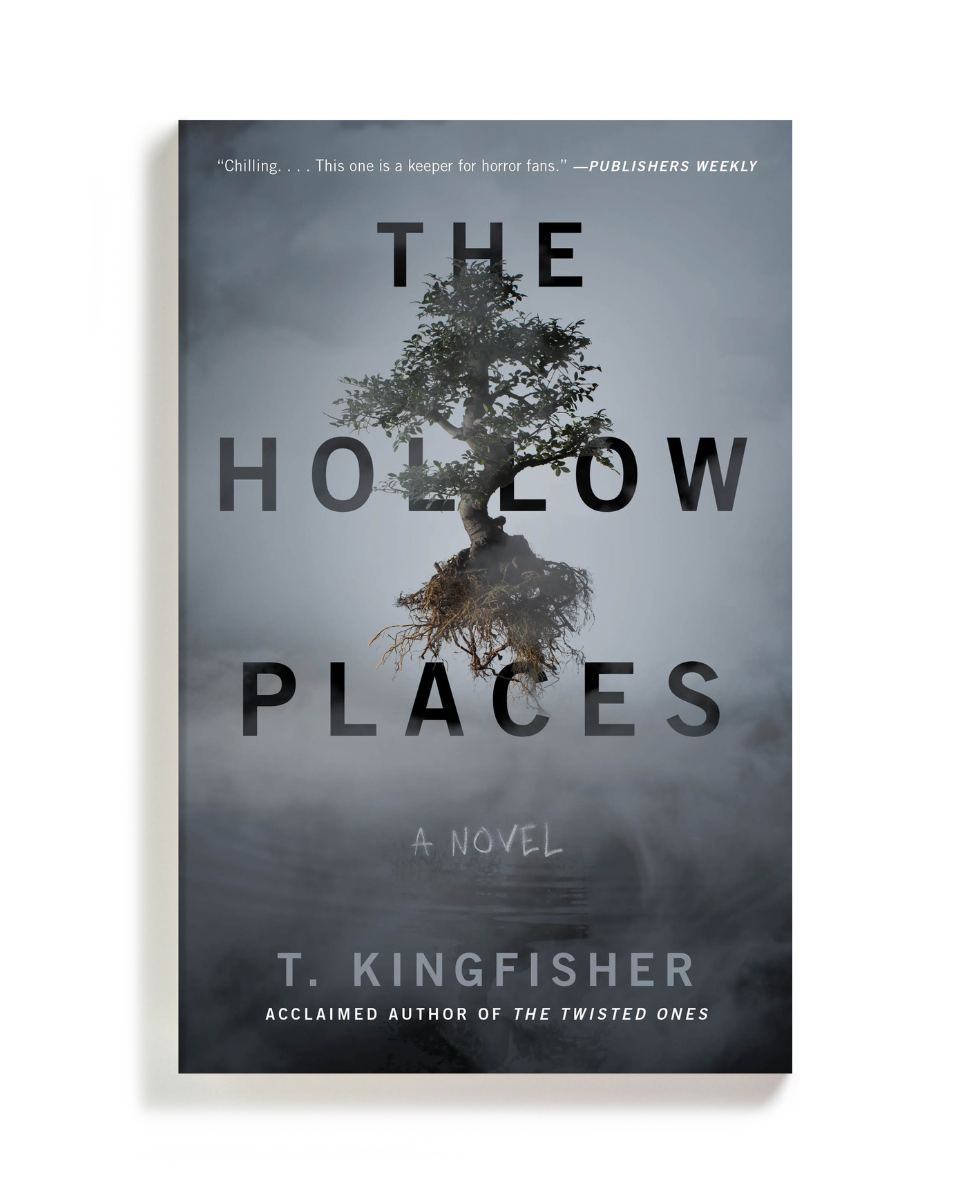 Chelsea McGuckin Design - Gallery Books, October 2020