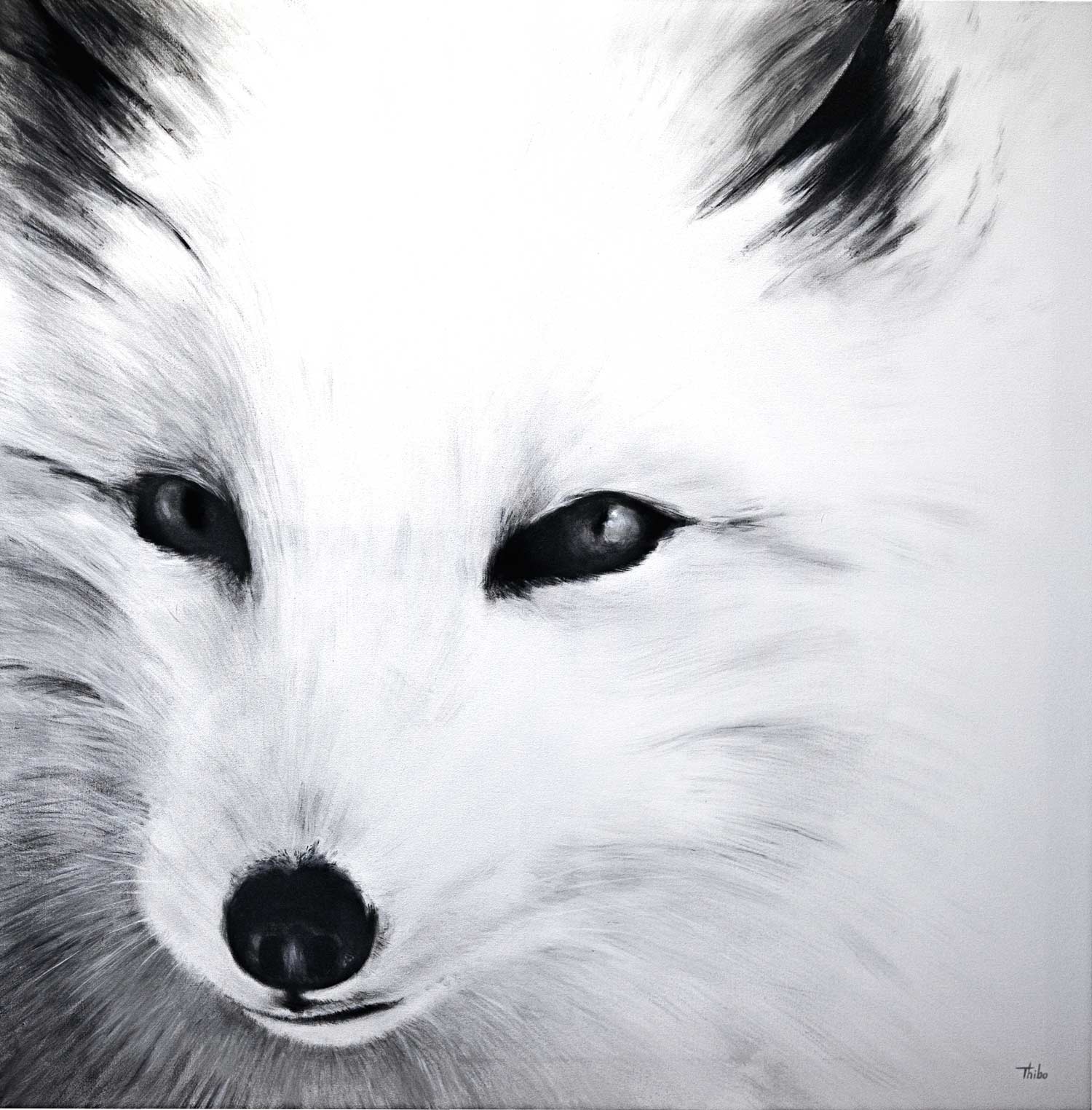 robert thibault - Renard arctique 160 cm x 160cm